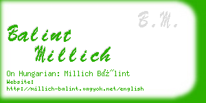 balint millich business card